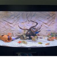 Acquario Juwel Vision 450