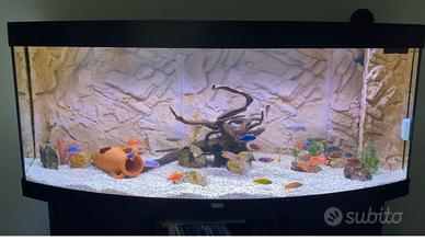 Acquario Juwel Vision 450