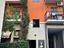 Immagine 7