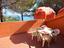 Immagine 2