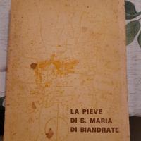 La Pieve di S. Maria di Biandrate 