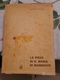 La Pieve di S. Maria di Biandrate 
