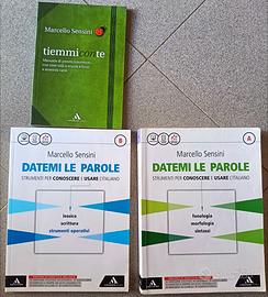 Libro di grammatica usato