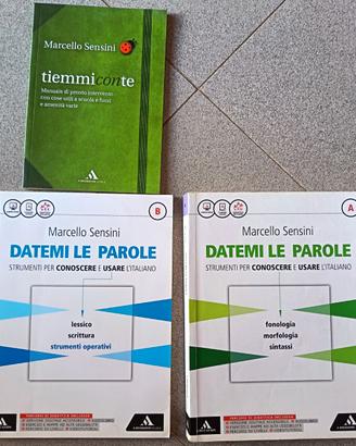 Libro di grammatica usato