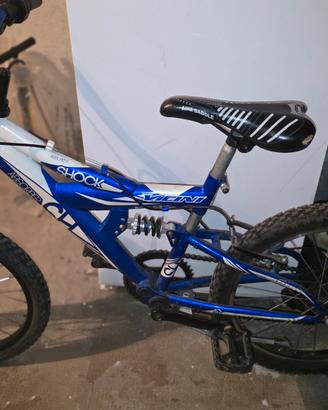 Bicicletta 20 pollici 