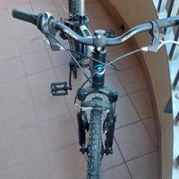 Bicicletta Bambino