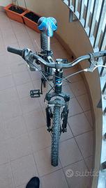 Bicicletta Bambino