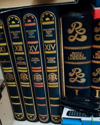 enciclopedia completa Rizzoli Larousse