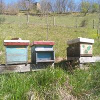 Arnie usate autocostruite