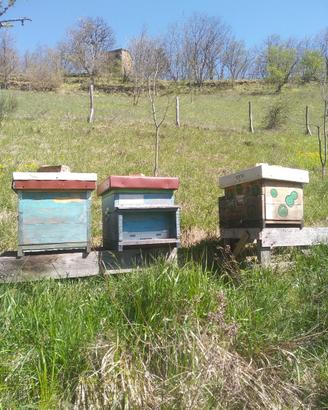 Arnie usate autocostruite