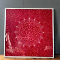 Opera/Quadro Retroilluminato