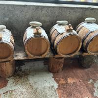 Batteria aceto balsamico avviata nel 2015 4 botti