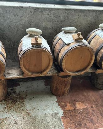 Batteria aceto balsamico avviata nel 2015 4 botti