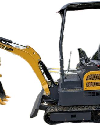 Miniescavatore 10 quintali