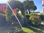 Immagine 23