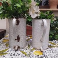 COPPIA ANTICHI IRRIGATORI DA PARETE VASI ANNI 30