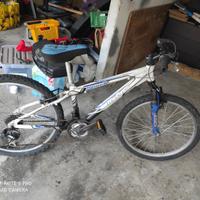 Bicicletta da ragazzo 