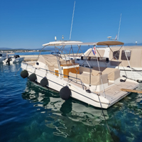 Fiart 33 Seawalker