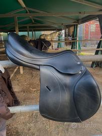 Sella equipe expression taglia 17.5