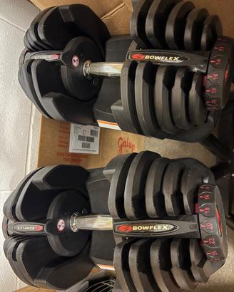 Pesi Bowflex originali