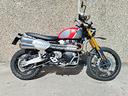 triumph-scrambler-1200-triumph-xe-gold-line