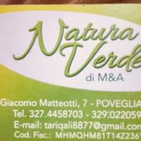 Natura verde