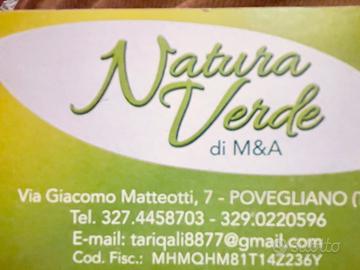 Natura verde