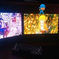 computer gamer + 2 monitors