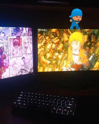 computer gamer + 2 monitors