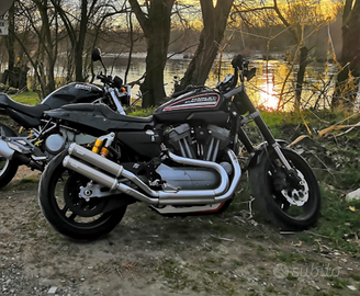 Harley davidson XR1200