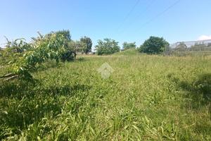 TER. RESIDENZIALE A COMUN NUOVO