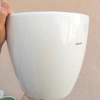 vaso Scheurich 