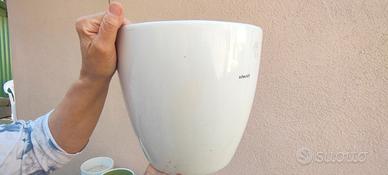 vaso Scheurich 