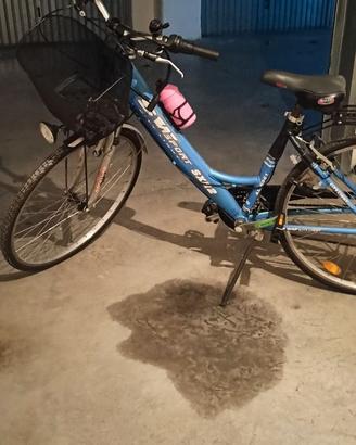 Bicicletta
