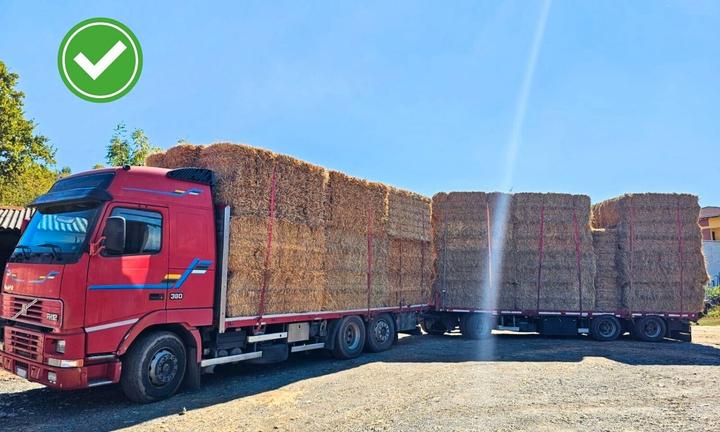 Camion pianale Volvo FH12.380 + rimorchio pianale