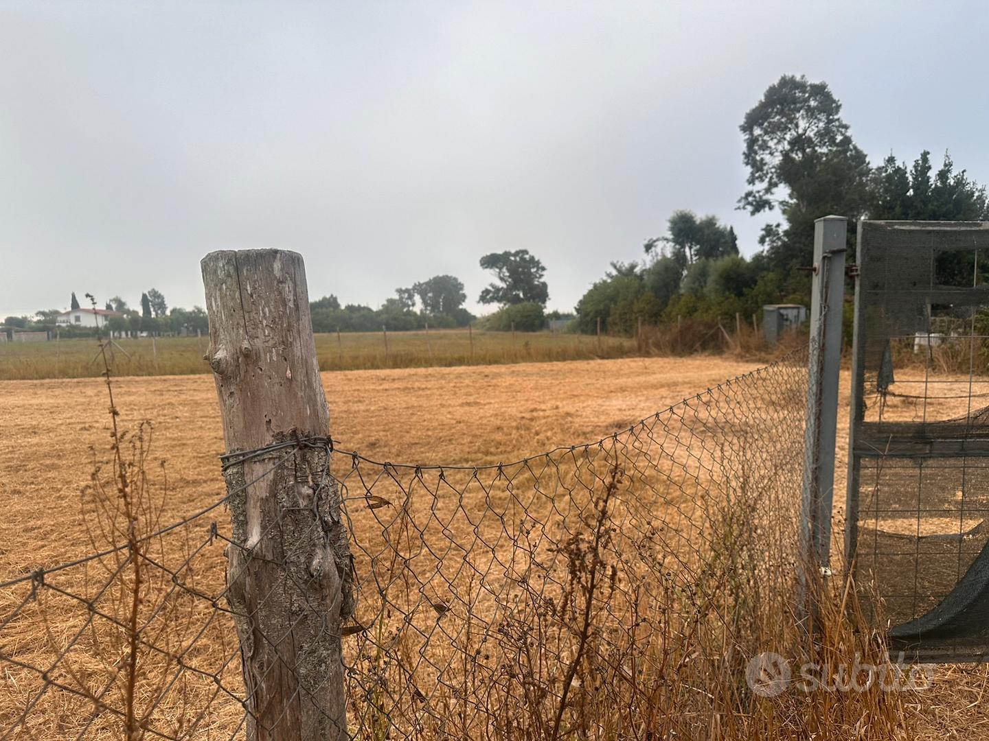 Terreno agricolo - Vista 2
