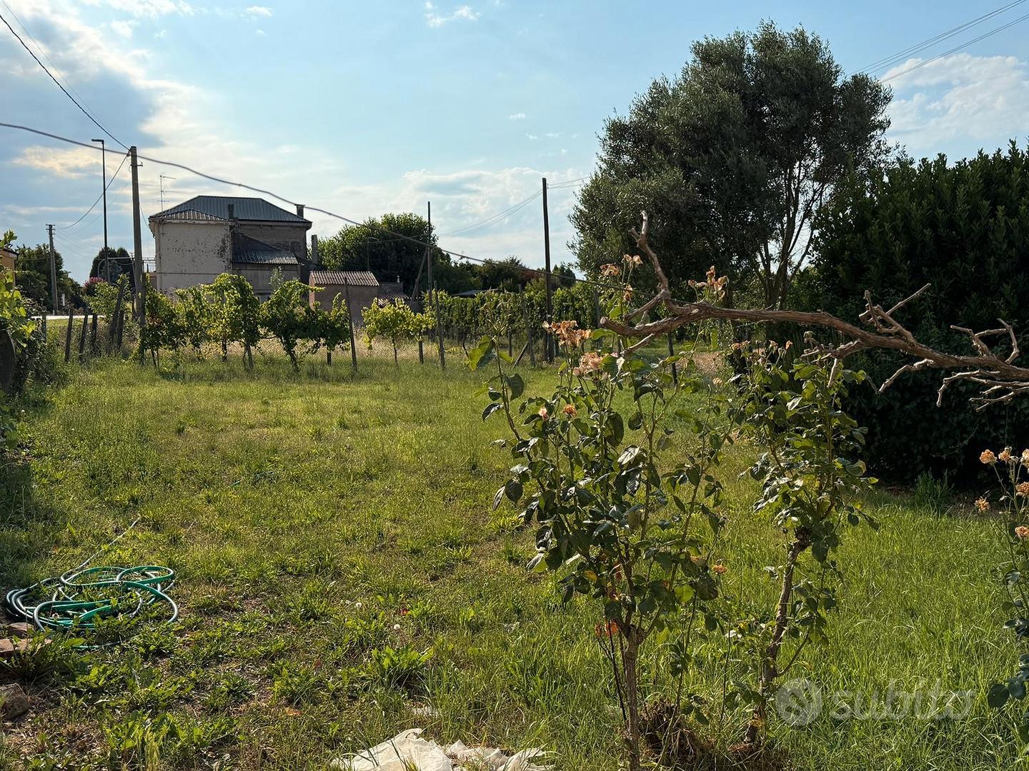 Casa – Villamarzana, Preguerre - Vista 5