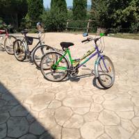 Bici mountain bike 28" Bottecchia Torpado Airolg