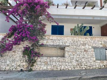 Appartamento in Castrignano Del Capo