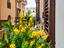 Immagine 16