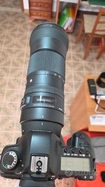Sigma 150-600mm f/5 -6.3 DG OS  HSM Contemporary p