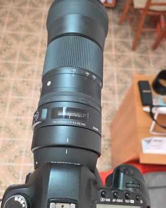 Sigma 150-600mm f/5 -6.3 DG OS  HSM Contemporary p