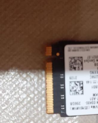 SSD M2 256GB 2 SCHEDE