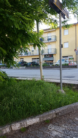 Locale Commerciale uso negozio e o ufficio