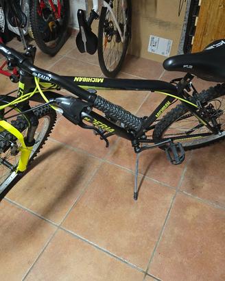 mountain bike Esperia Michigan 26