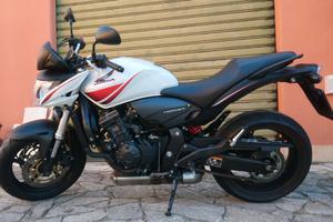 Honda Hornet 600 come nuova 