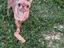 Immagine 1