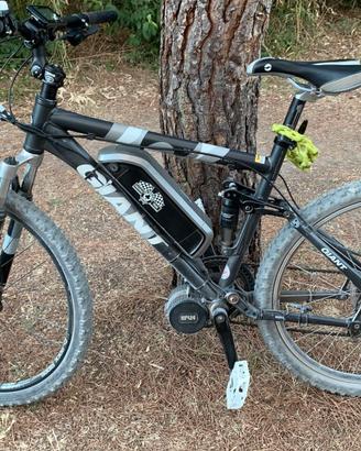 bicicletta eletrica