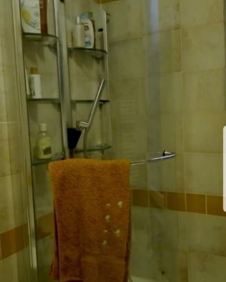 Parete box in vetro curvo per vasca da bagno/docci