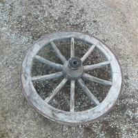 ruota di carro in legno 